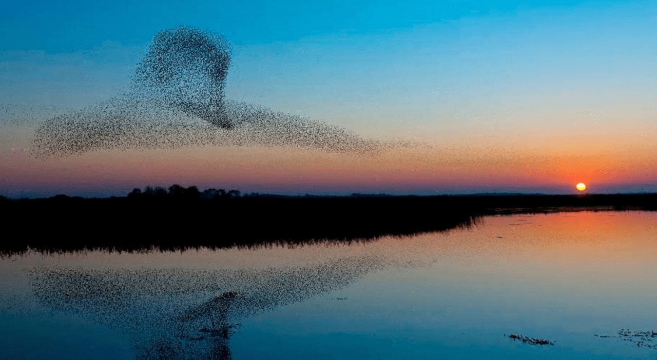 Los 10 fenómenos naturales más bellos y sorprendentes del mundo