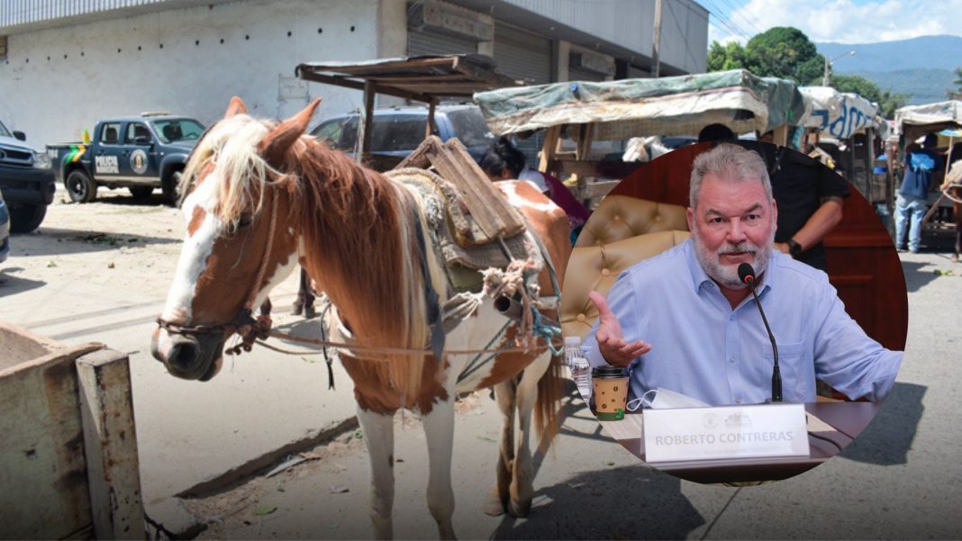 carretas de caballo en SPS