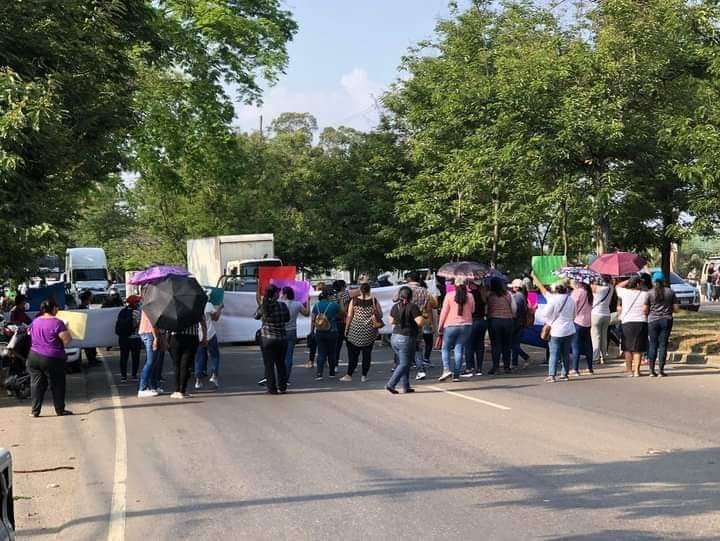 Docentes proheco