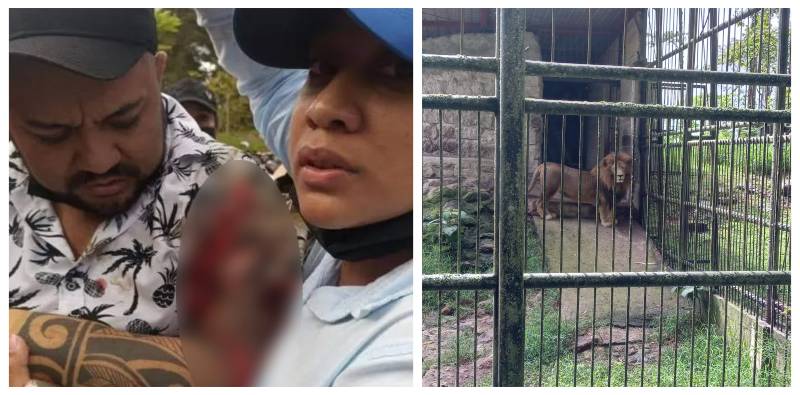 Hombre atacado por león El Picacho
