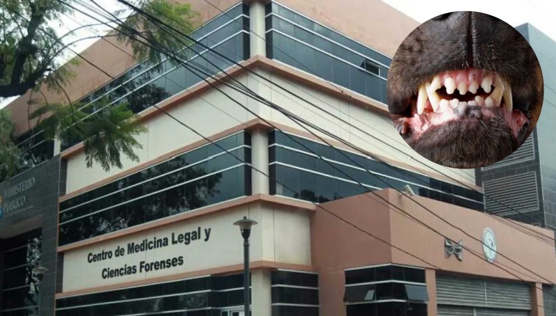 Autopsia hombre atacado por perros