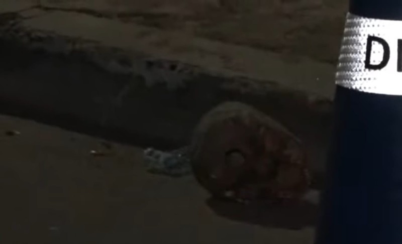 Cráneo humano en las Ayestas