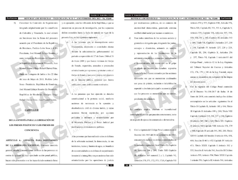 Decreto de Amnistía