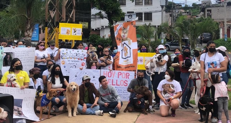 Marcha de perritos