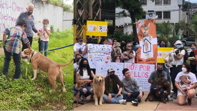 prohibir razas de perros en honduras