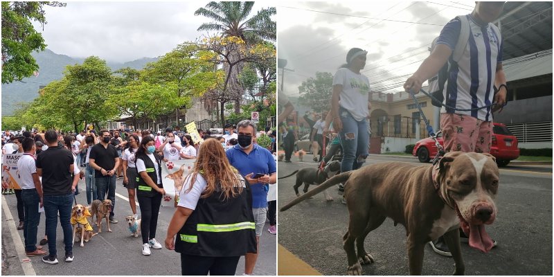 marcha en SPS