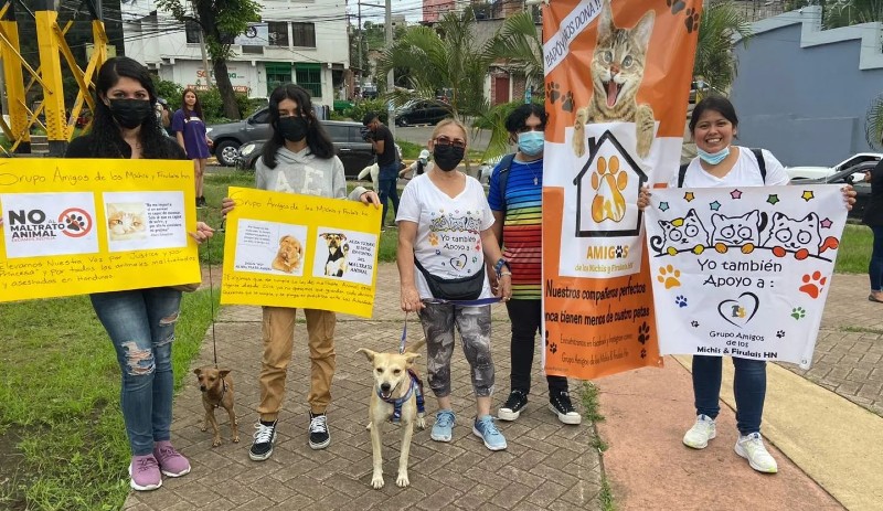 marcha defensa de los perros