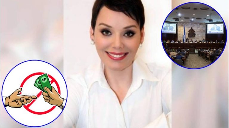 Beatriz Valle Junta Nominadora