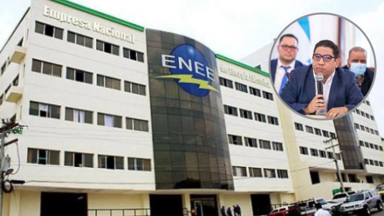 plan de reducción de perdidas en la ENEE