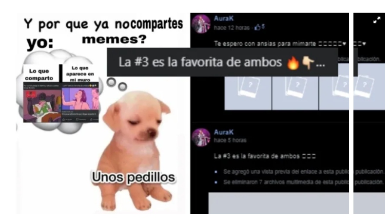 Memes por contenido para adultos