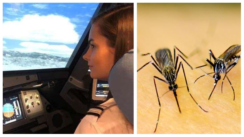 Muerte por picadura de mosquito.
