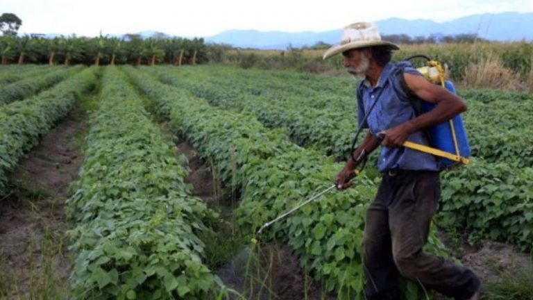 Aumento en fertilizantes