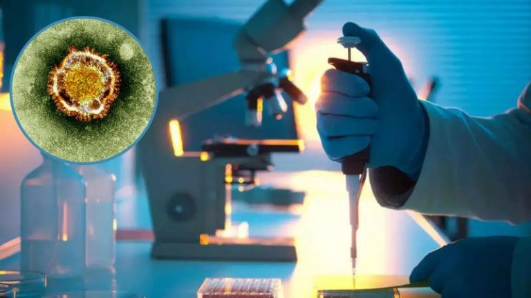 Langya: Nuevo virus hallado en china