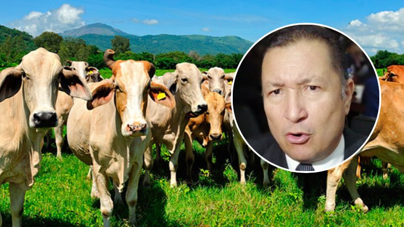Día Nacional de la Vaca Lechera
