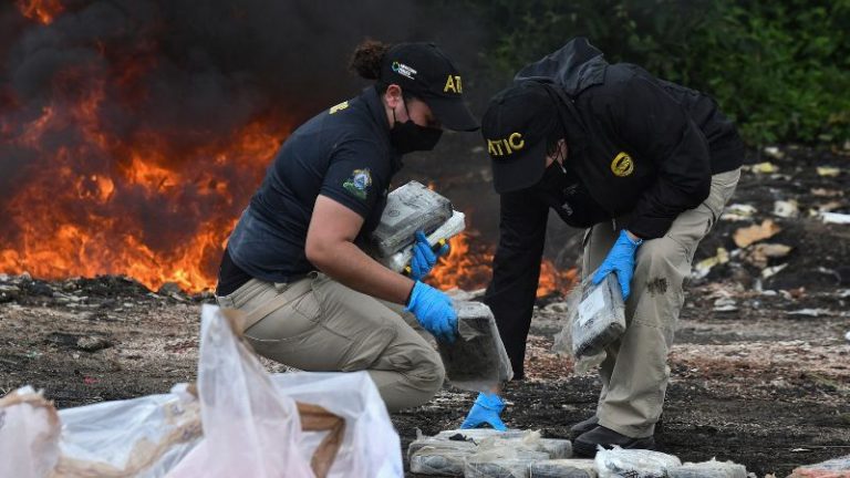 Incineración de droga