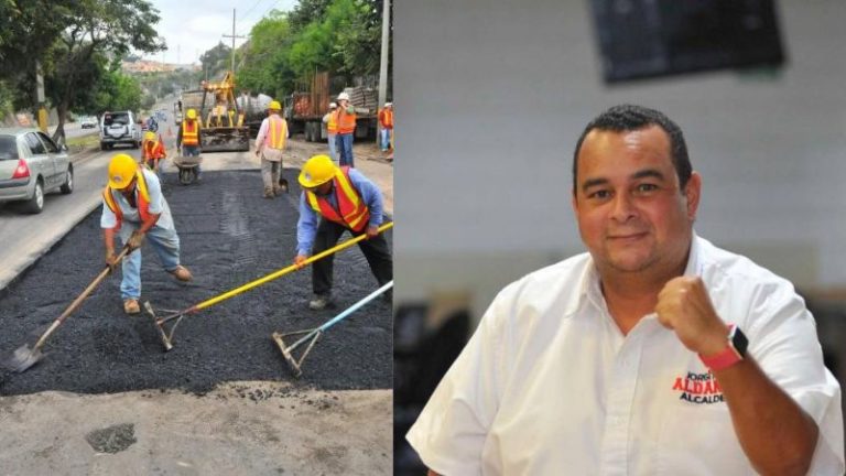 Baches