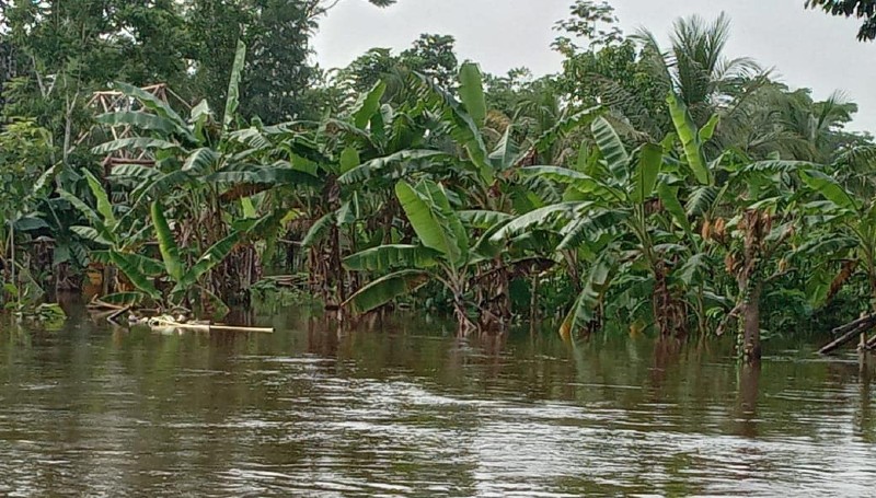 inundaciones La Mosquitia