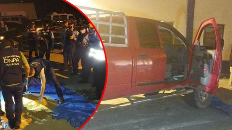 Cocaína en sacos de abono