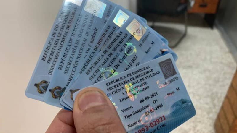 Homologación de licencias