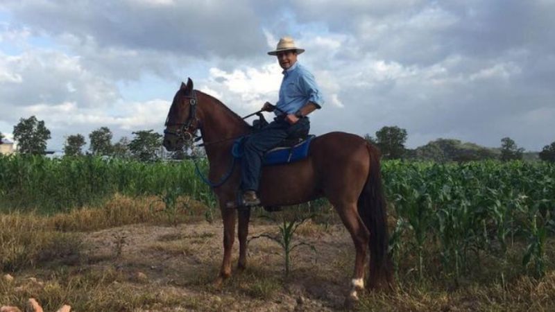 OABI subastará caballos incautados JOH