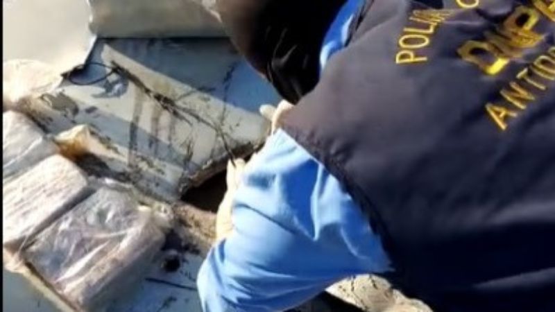 paquetes de dólares en camión