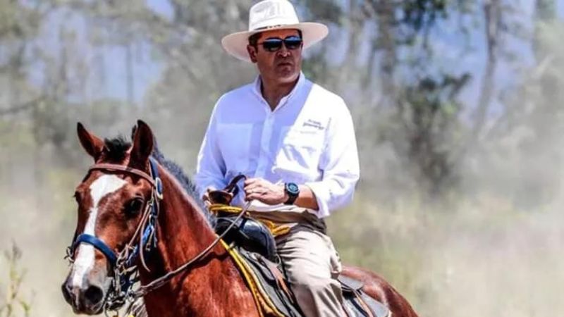 Diputado Caballos de JOH están enfermos