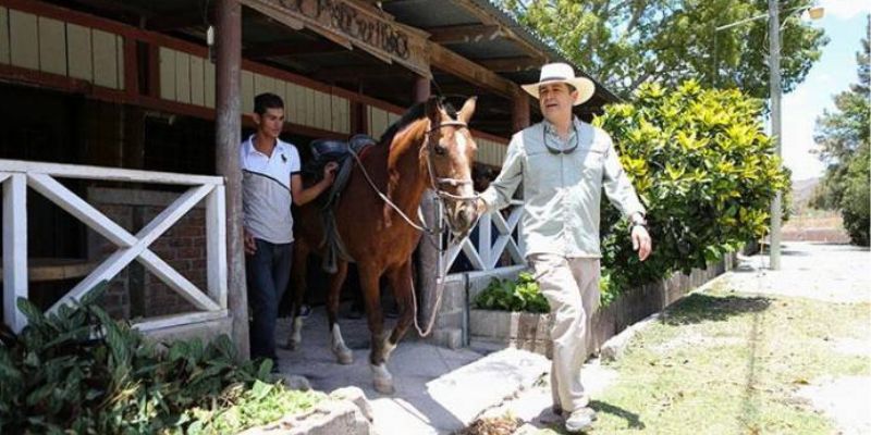 Caballos de JOH