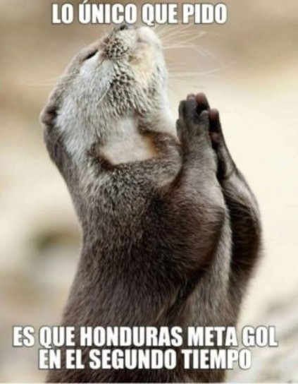 memes tras partido Honduras y Argentina