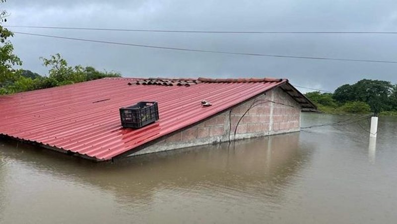 Cubulero Alianza