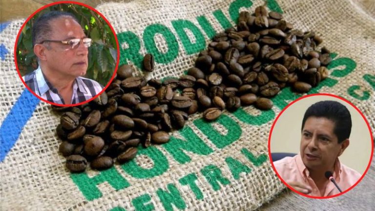bajó el precio del café
