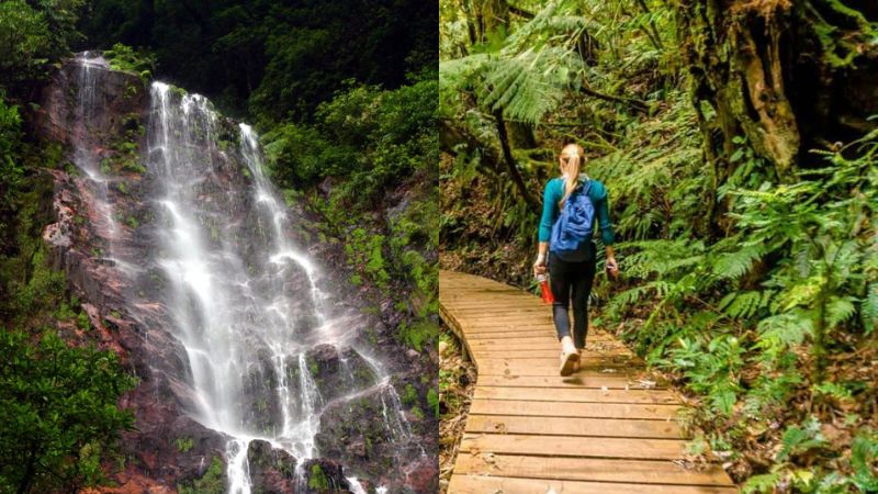 Parque Nacional "La Tigra".