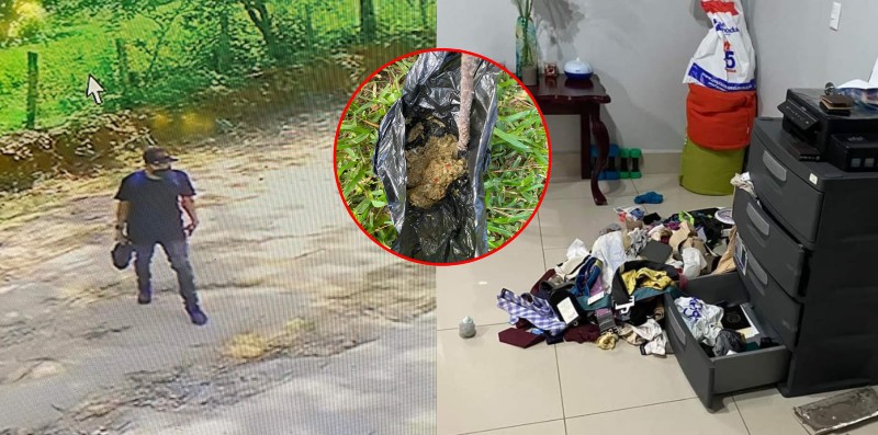 ladrones matando perros en Valle de Ángeles