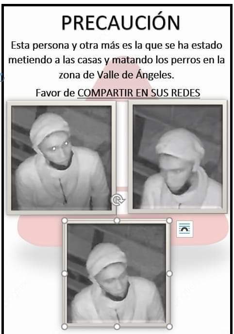 Mata perros