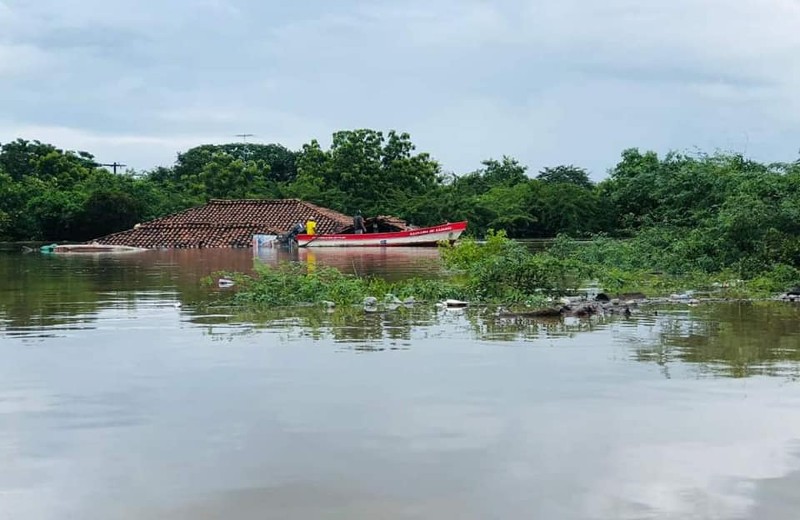 afectación Cubulero