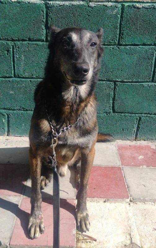 ASKAR