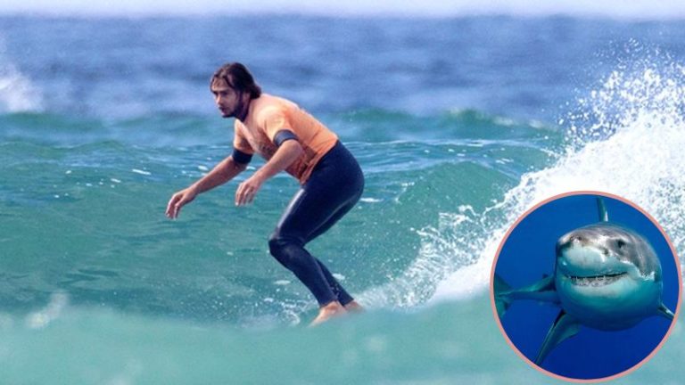 surfista y tiburón blanco