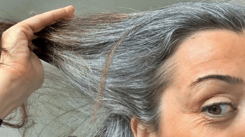 Canas
