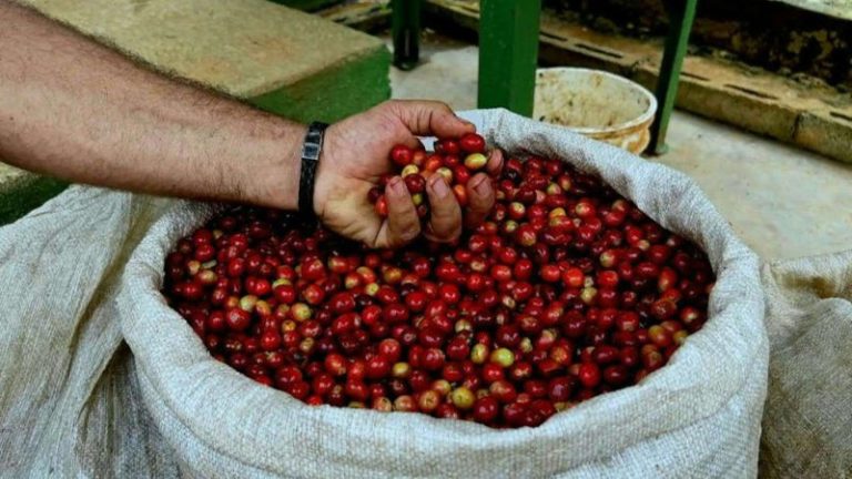 café especial en Cuba