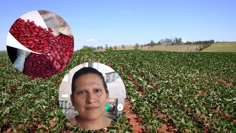 reunión productores de frijol y Gobierno