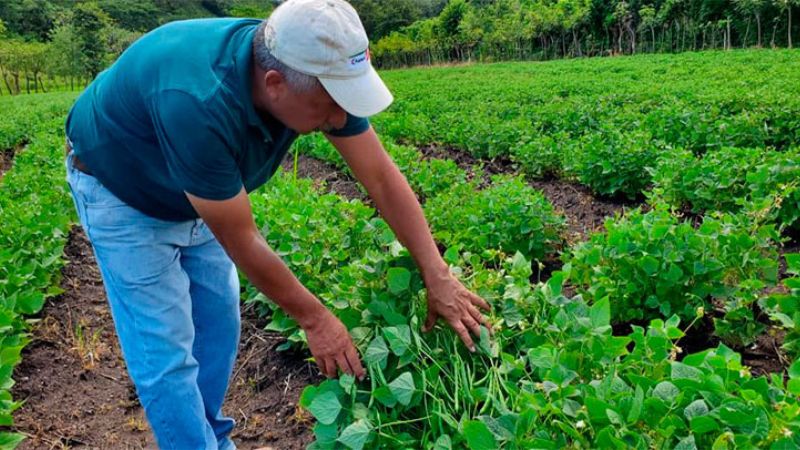 reunión productores de frijol y Gobierno