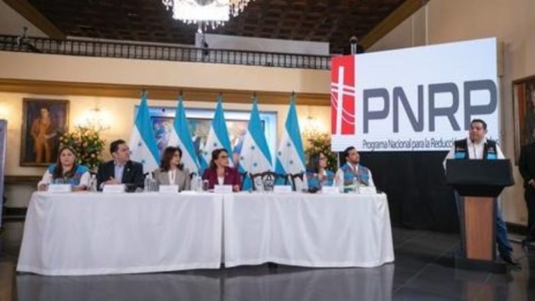 plan de recuperación de perdidas de la ENEE