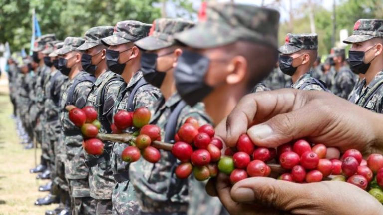 soldados en la corta de café