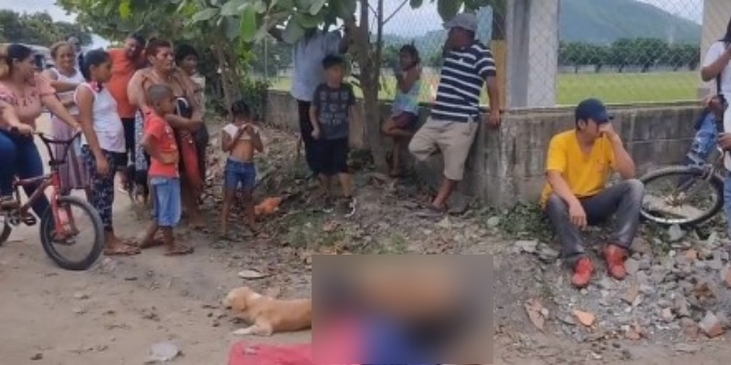 perro con guardia atropellado en villanueva
