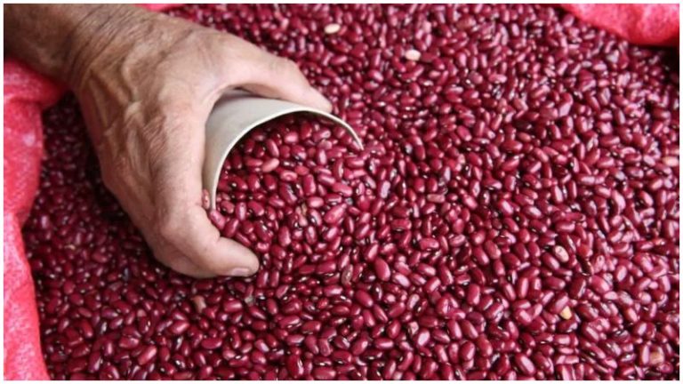 Adecabah y la medida de frijoles