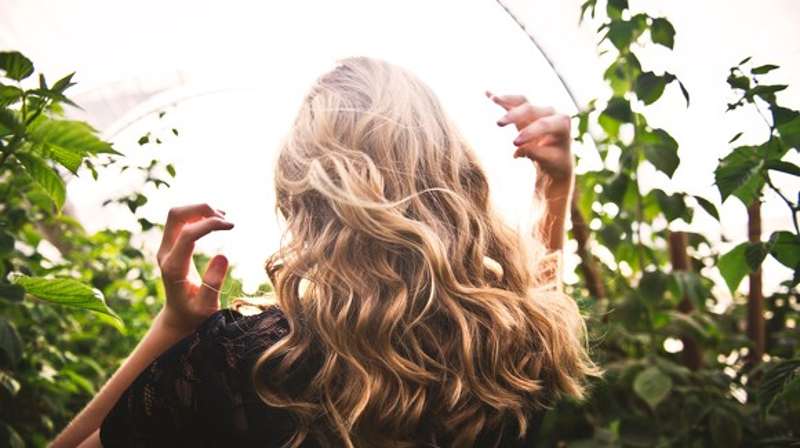 Plantas que cuidan la piel y el cabello