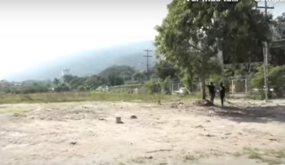 vendedores