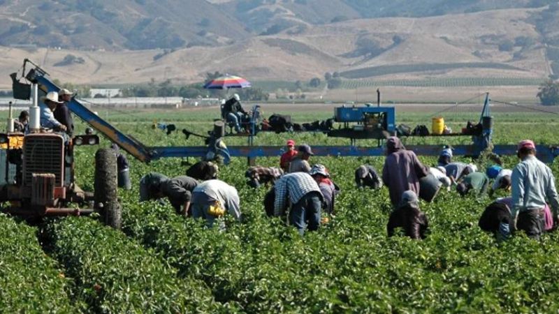permisos de trabajo agrícolas hondureños