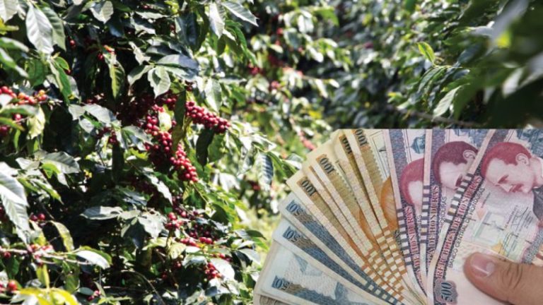 inversión para traslado de café