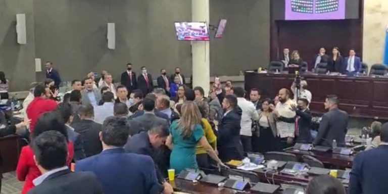 PELEA DIPUTADOS
