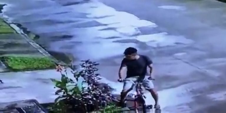 joven se roba una planta